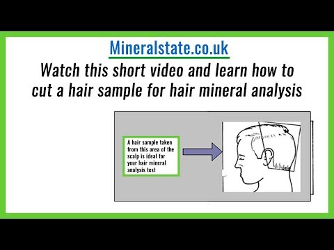 Hair Analysis Test | Hair Mineral Analysis UK