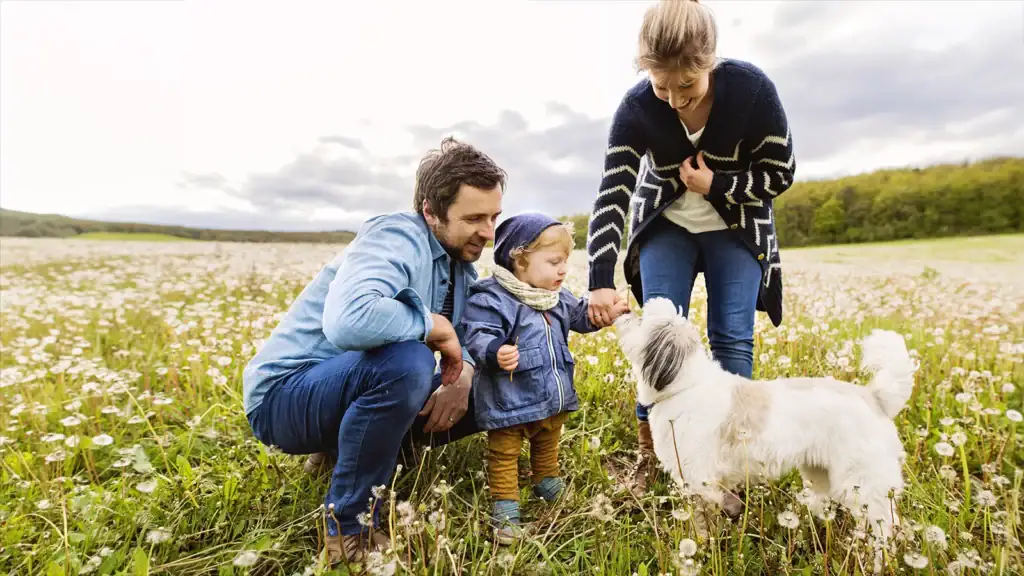 hair test mineral analysis for women, men, children and pets