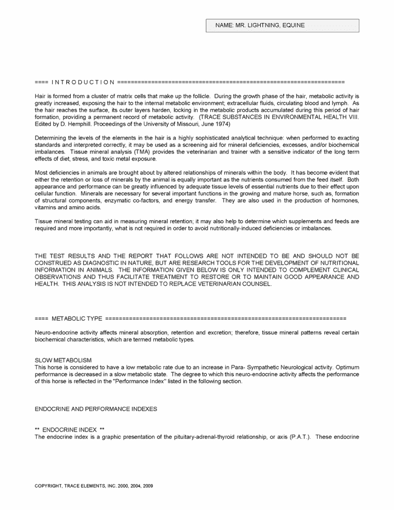 Horse Hair Test Horse Hair Testing UK